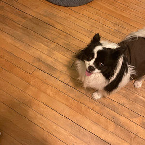 Meet your Posher, Jalisa